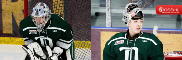 Vees Sign Delta Netminder